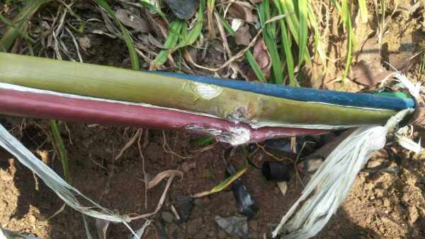 1571386419823370.jpg u=2933932251,1436168314&fm=11&gp=0.jpg